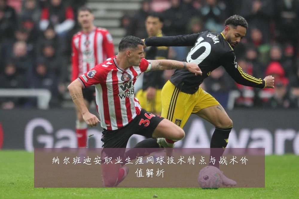 纳尔班迪安职业生涯网球技术特点与战术价值解析