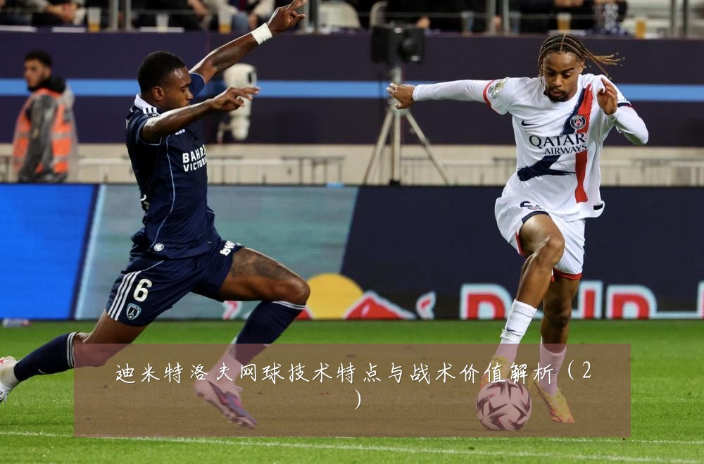 迪米特洛夫网球技术特点与战术价值解析（2）