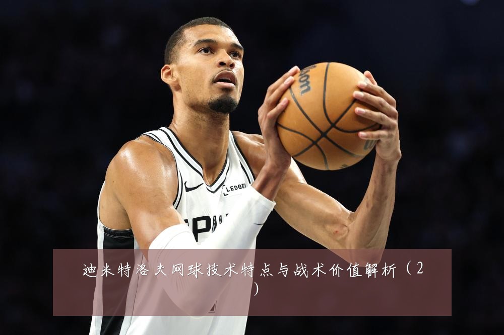 迪米特洛夫网球技术特点与战术价值解析（2）