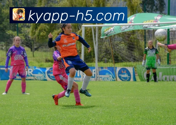 平台是否具备监管资质